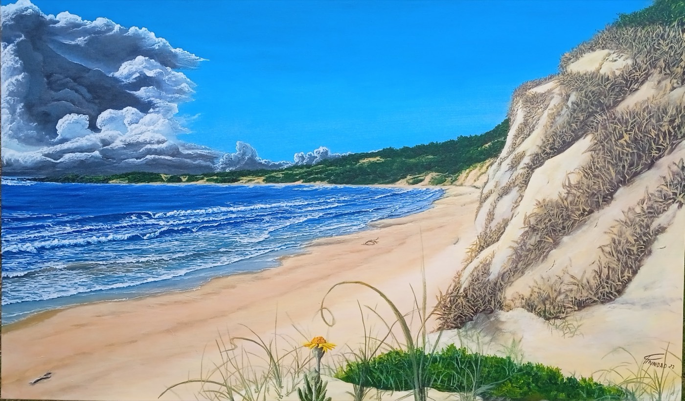 Playa grande — Fabián Trinidad